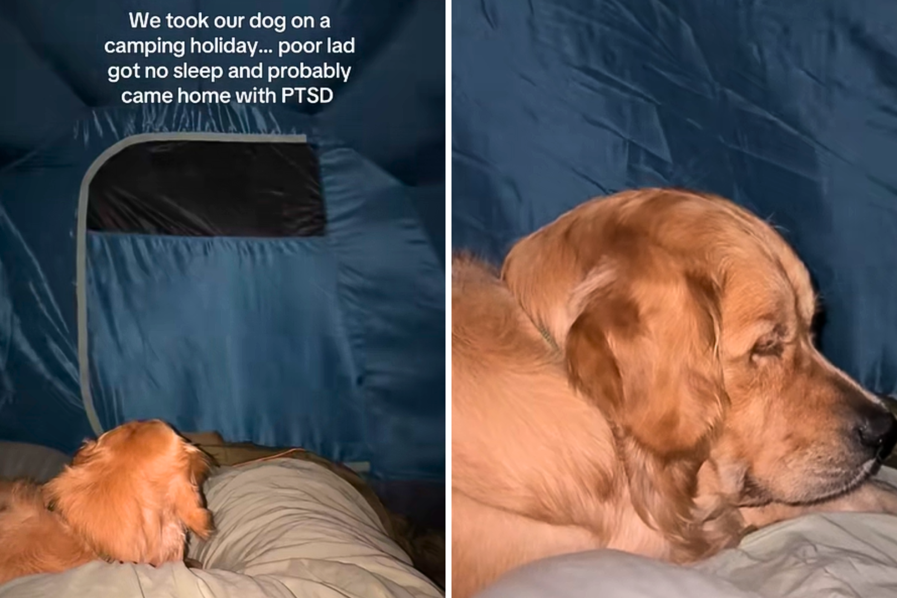 Blue Sky RV Park | Mountain View AR, image size:3000x2000