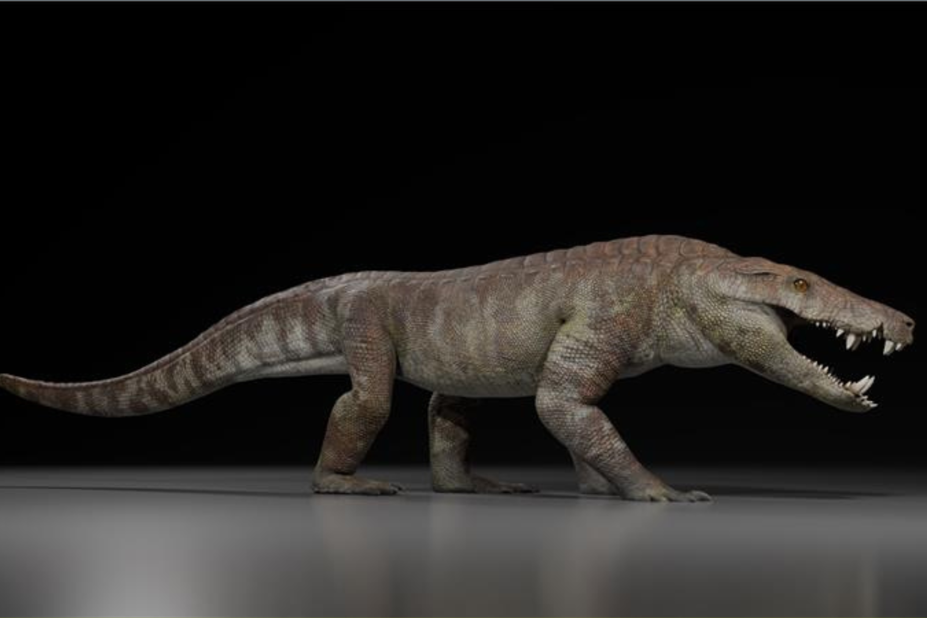Ancient Crocodile 'Hypercarnivore' Discovered—And It Ate Dinosaurs