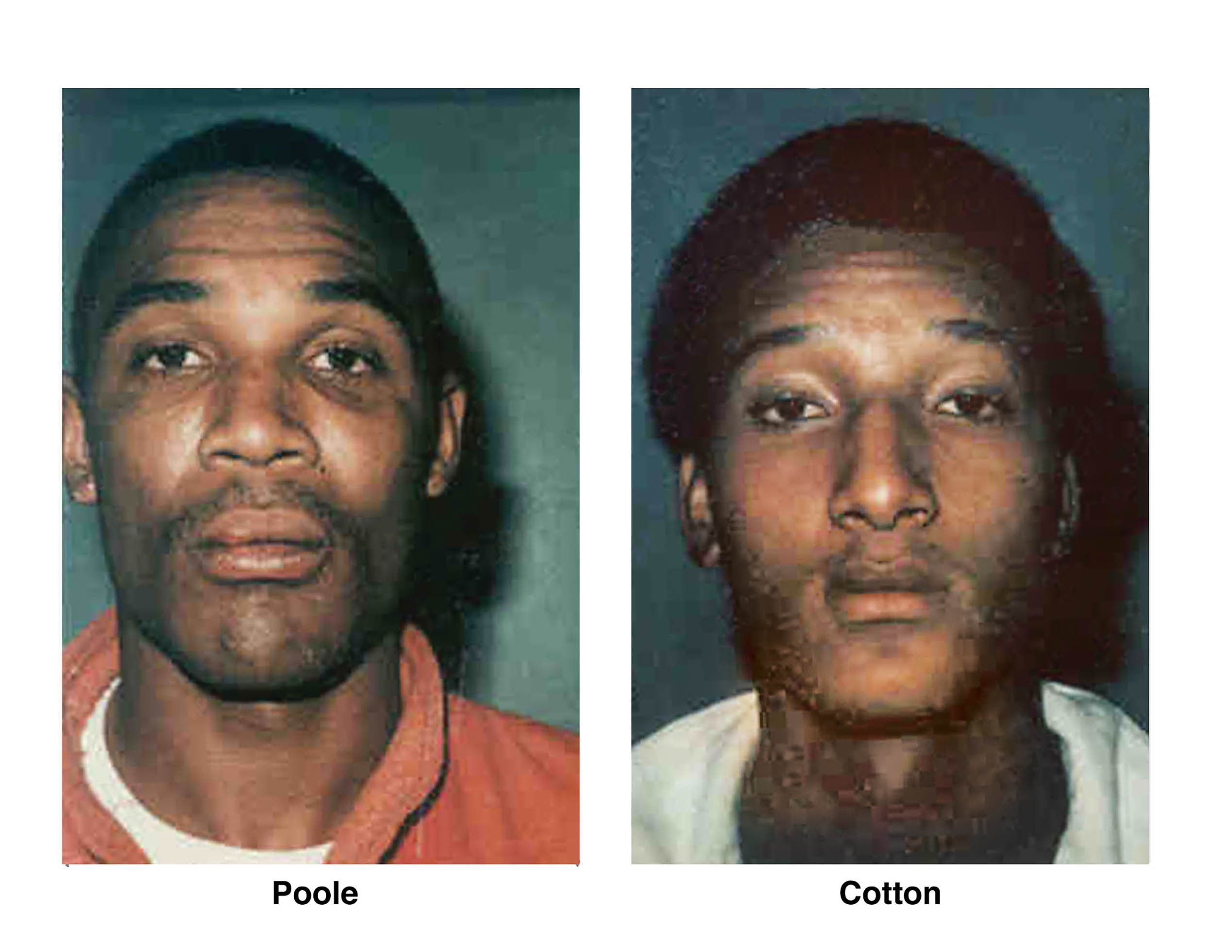 Eyewitnesses Eyewitness testimonies―appeals from the Aーbomb s