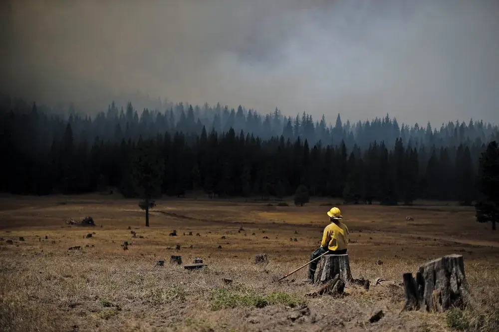 The West’s Forest Fire Problem Costs More Every Year