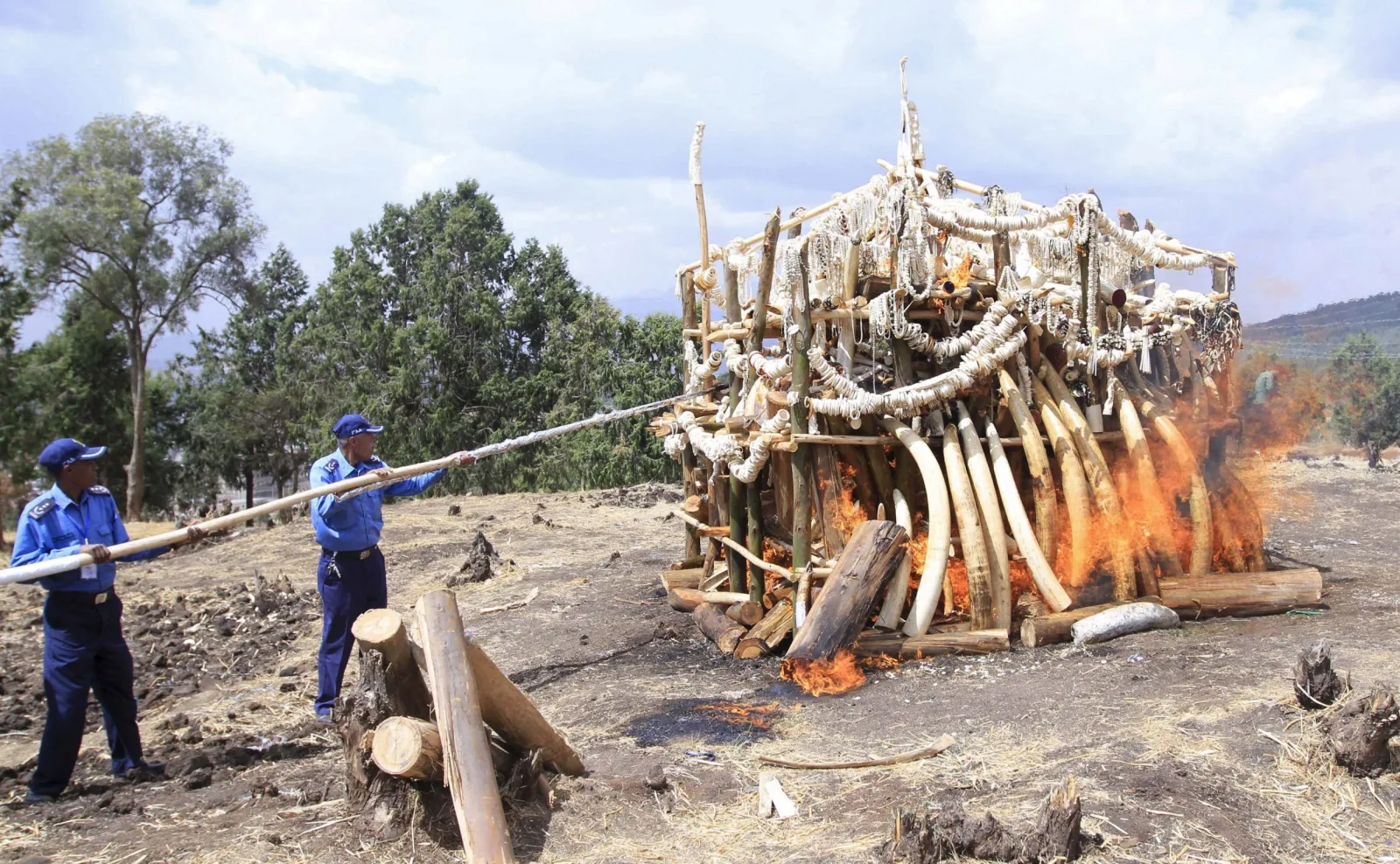 Malawi Government to Burn $7.5m Ivory Stockpile