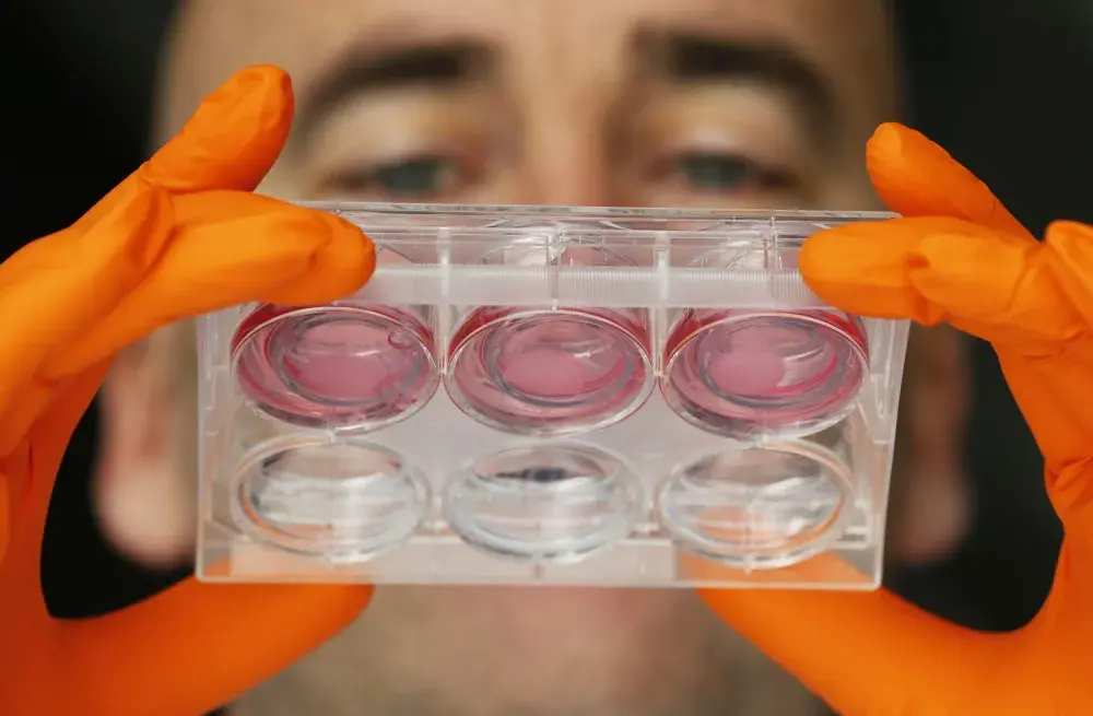 L’Oréal to Start Printing 3-D Skin With Bioengineering Company