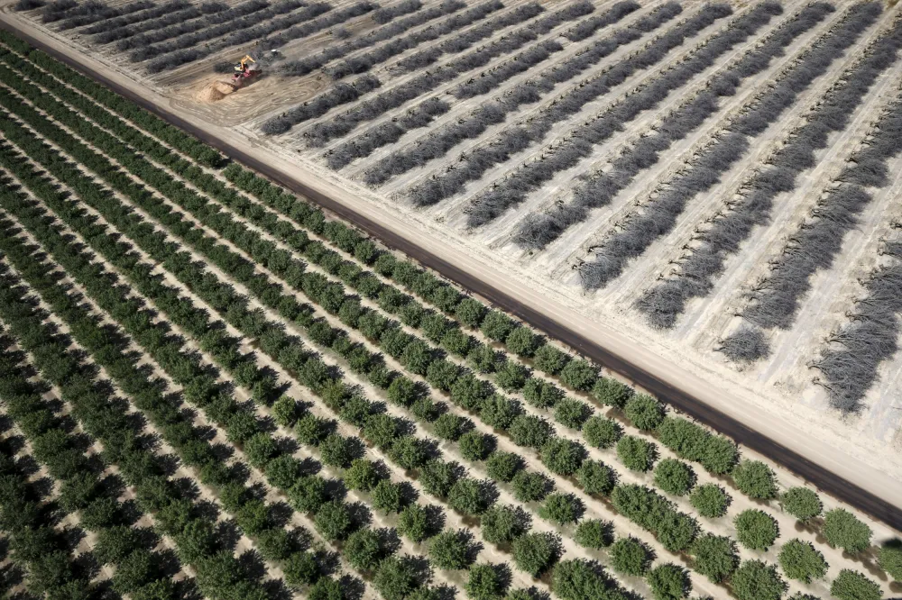Study Confirms Climate Change Turned California Drought Into Disaster ...