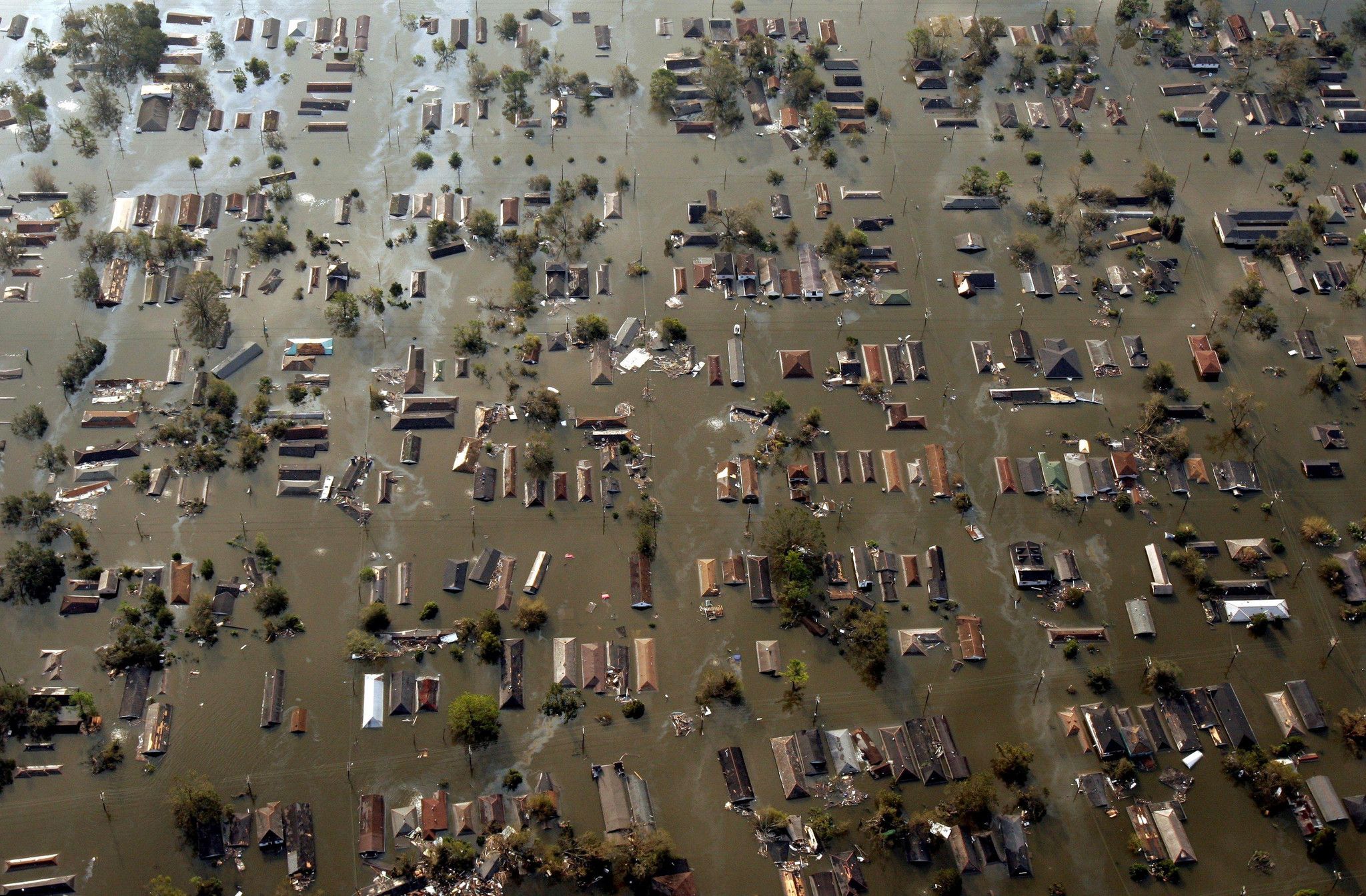 Eight Photojournalists Recall the Aftermath of Hurricane Katrina