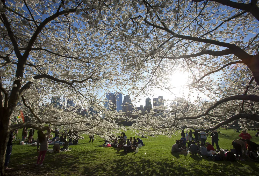 Spring Will Come Three Weeks Early in U.S. Thanks to Climate Change ...