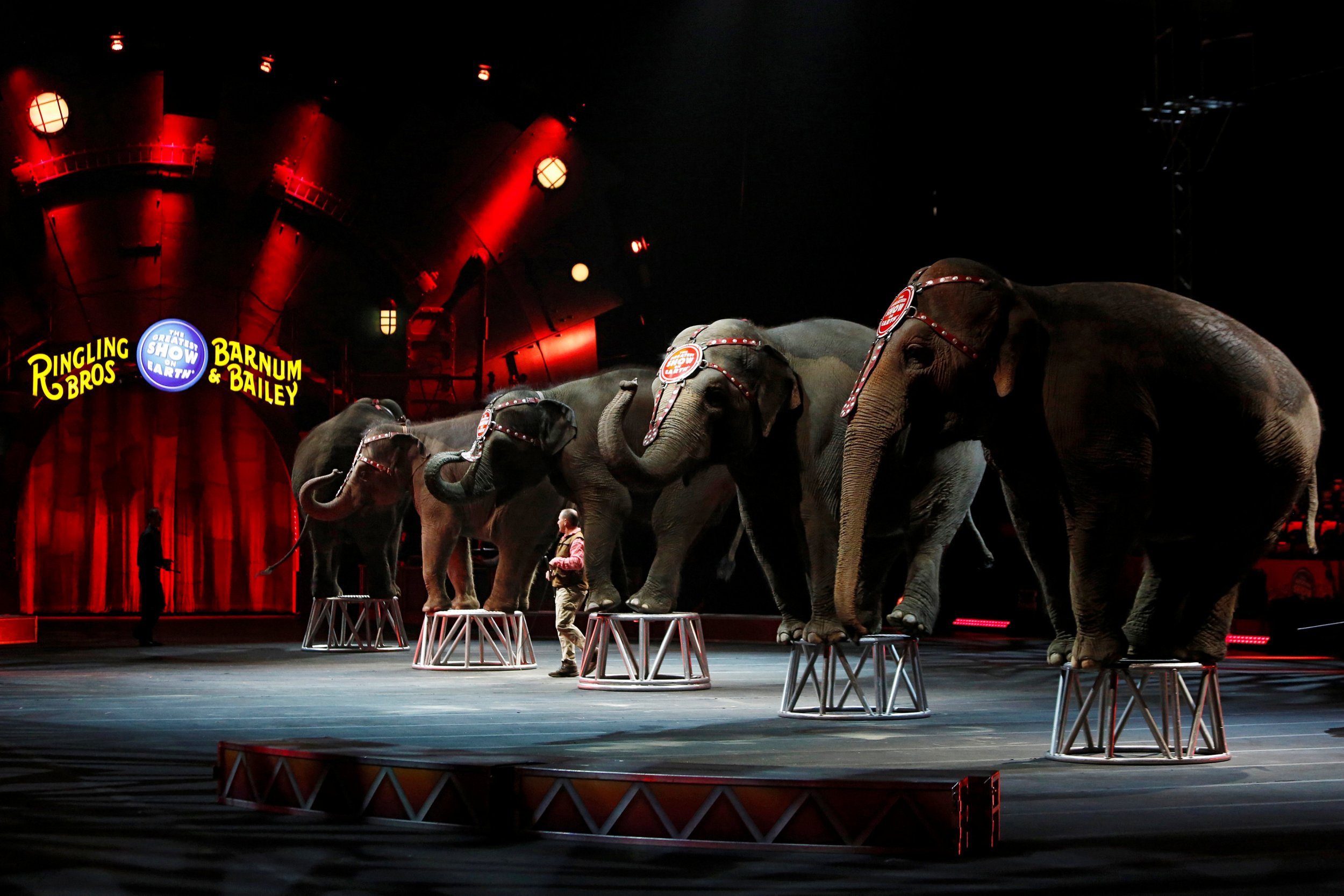 Retiring Elephants Take Last Bow in 