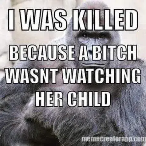 The Death of Harambe: Don’t Blame the Parents