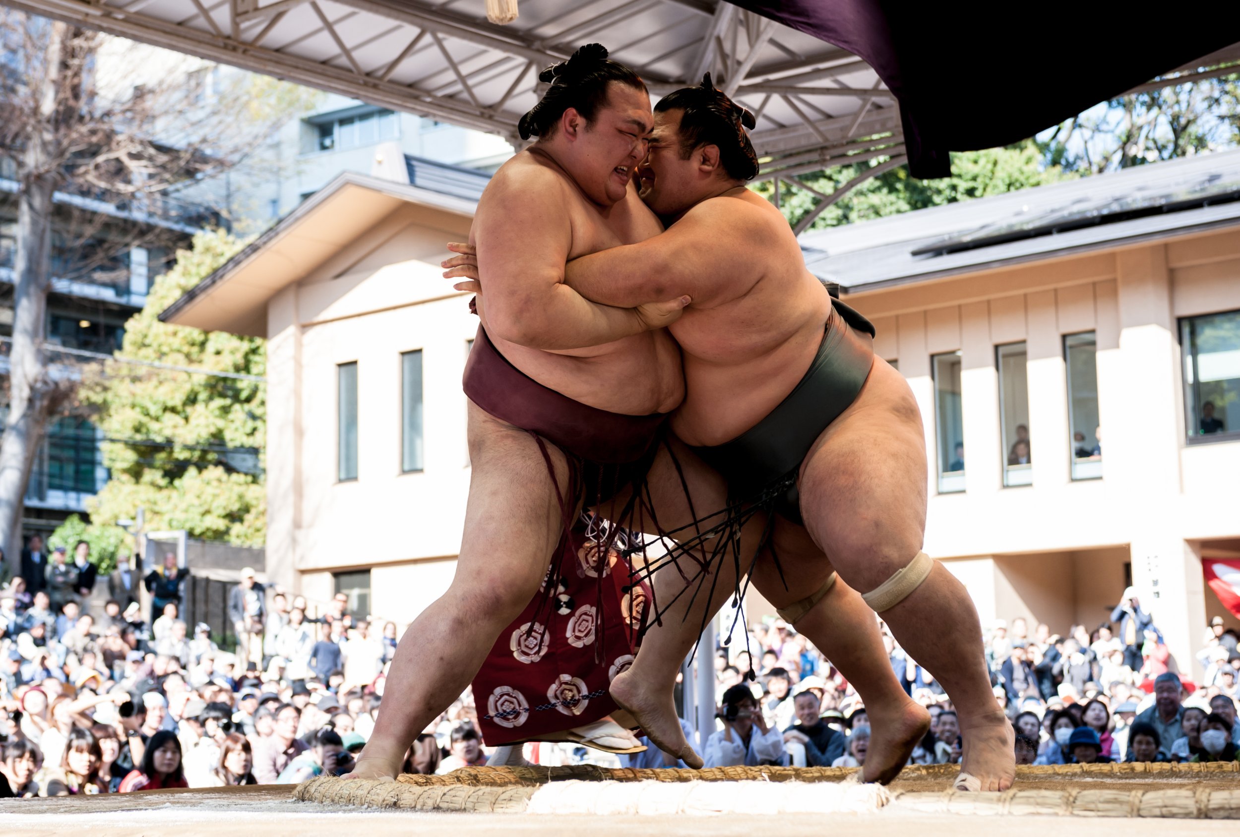 Japan Celebrates First Home-Grown Sumo Champion in 19 Years - Newsweek