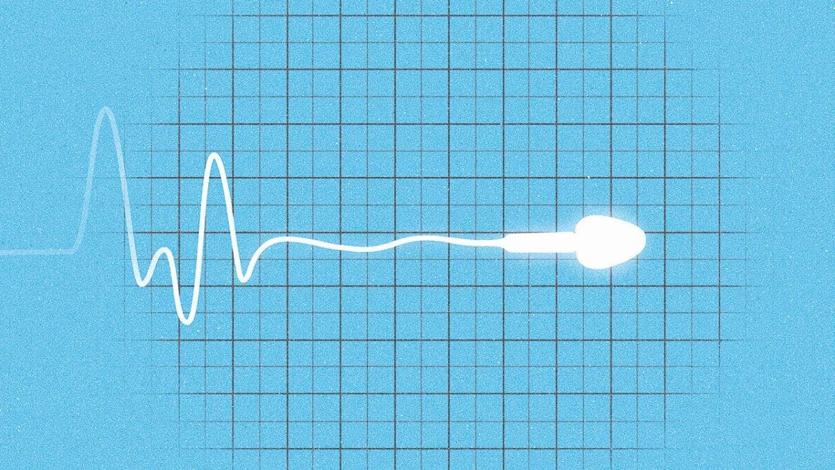 Who's Killing America's Sperm?
