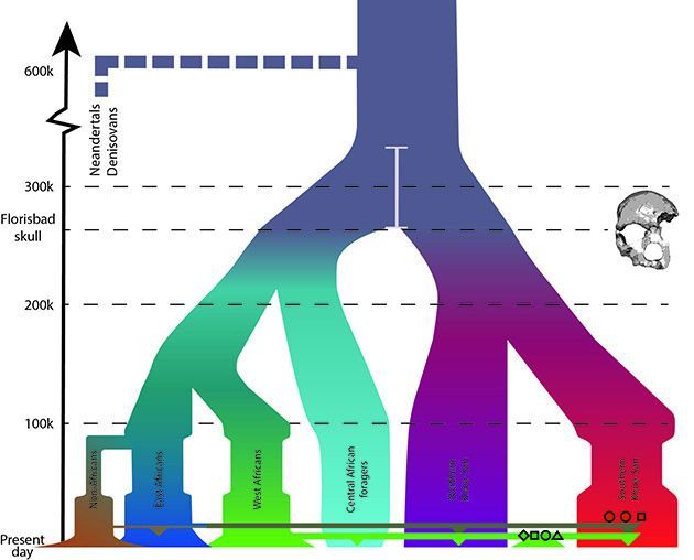 Ancient Fossils Reveal the First Humans Emerged 170,000 Years Earlier ...