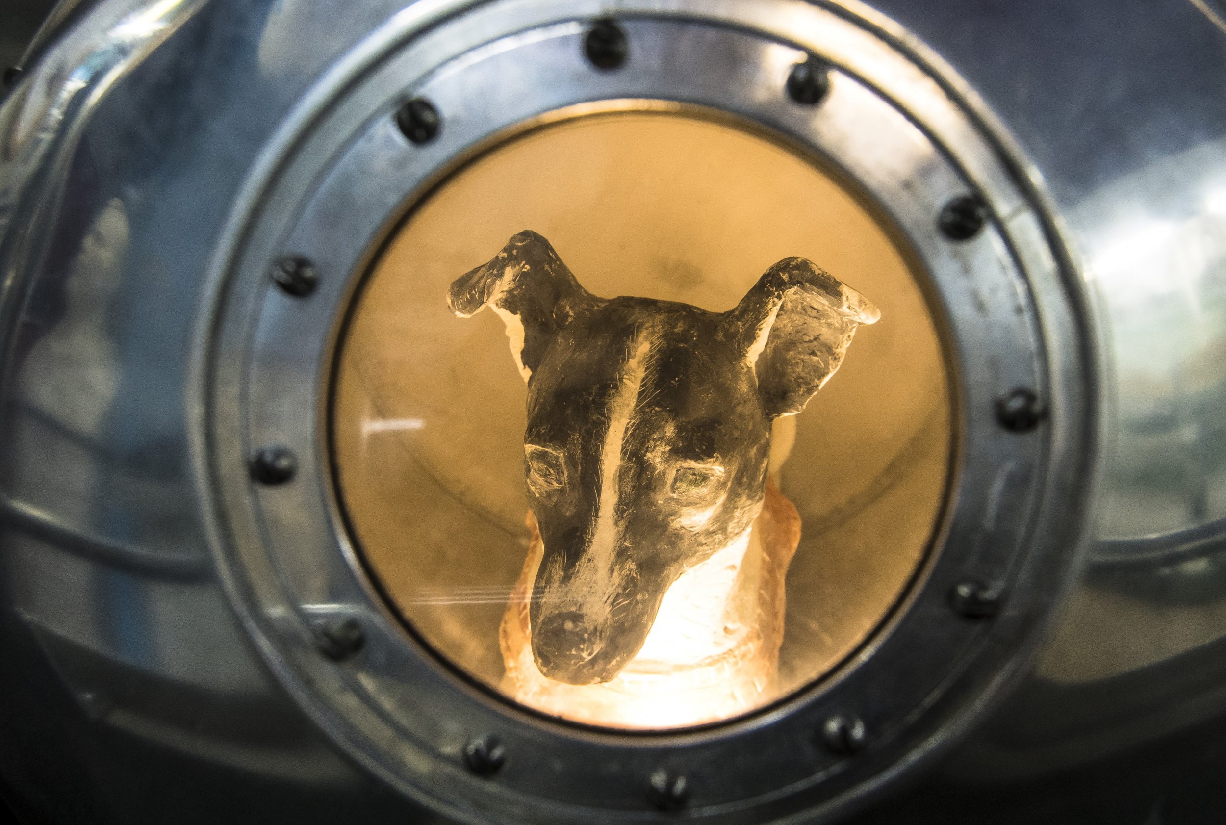 Animals in Space: How Russian Dog Laika Became the World's First