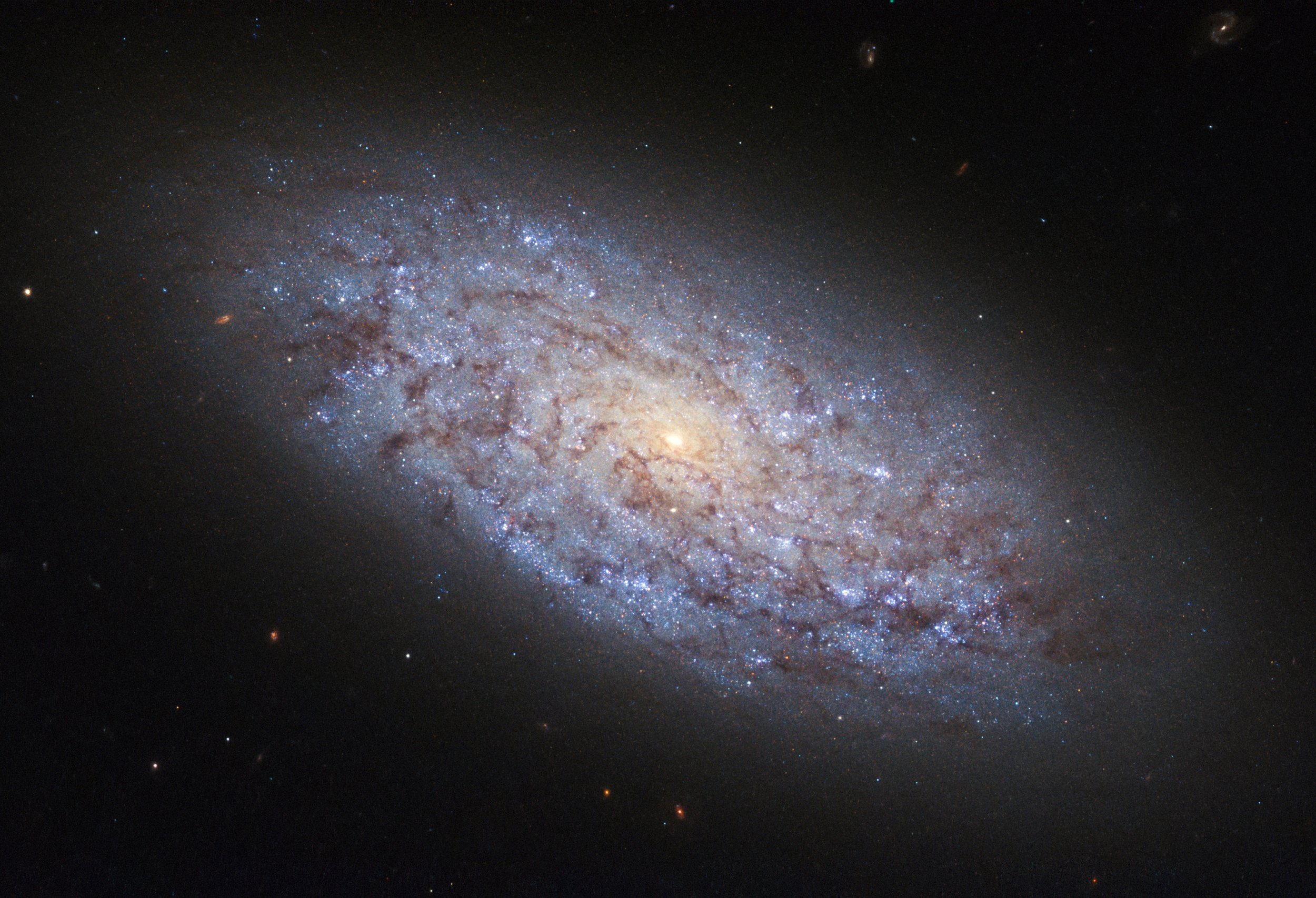 Seven Newly Discovered Giant Galaxies That Emit Radio Waves Hint