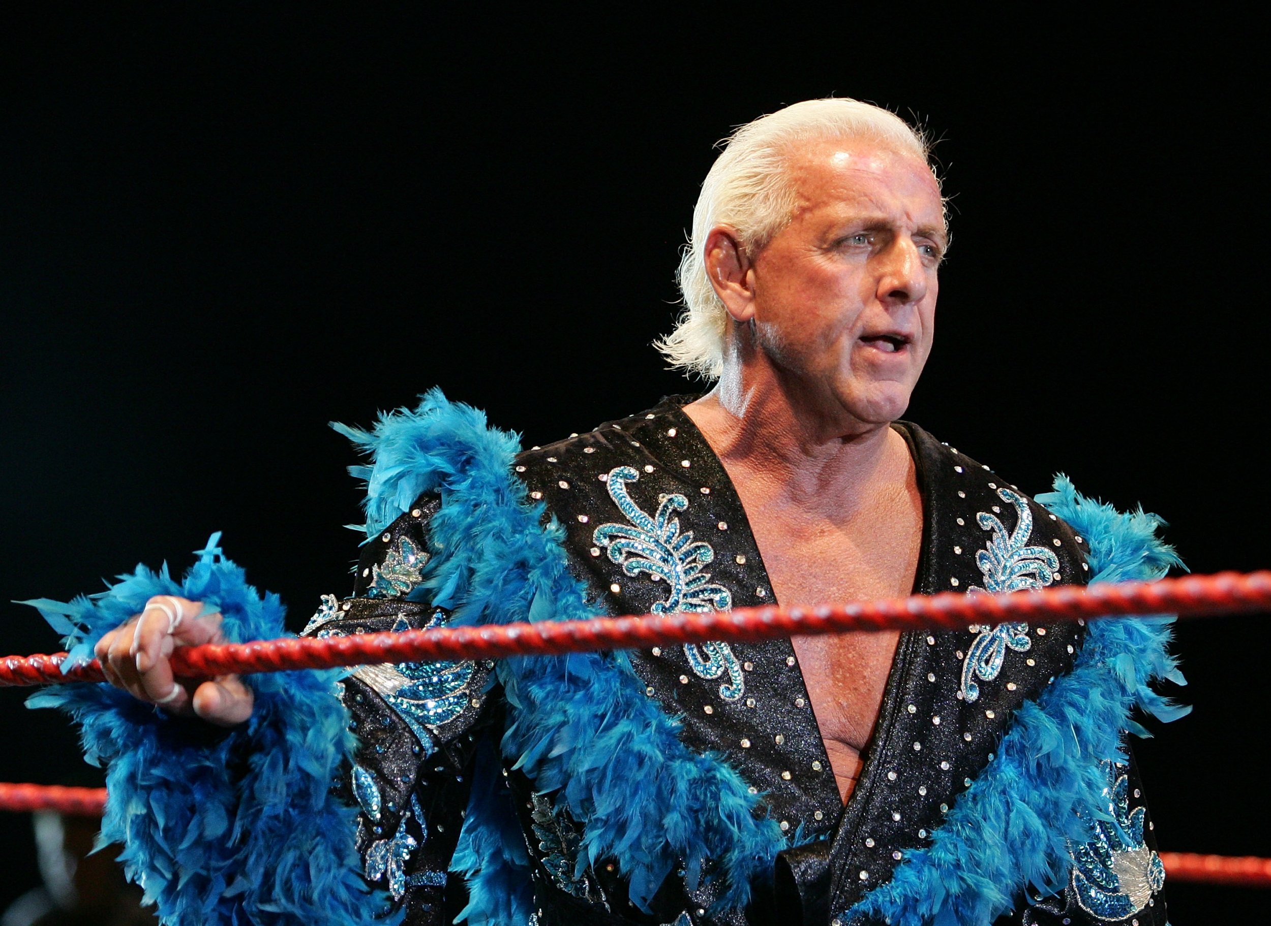 Ric Flair Breaks Silence On Controversial Cameo Accusations