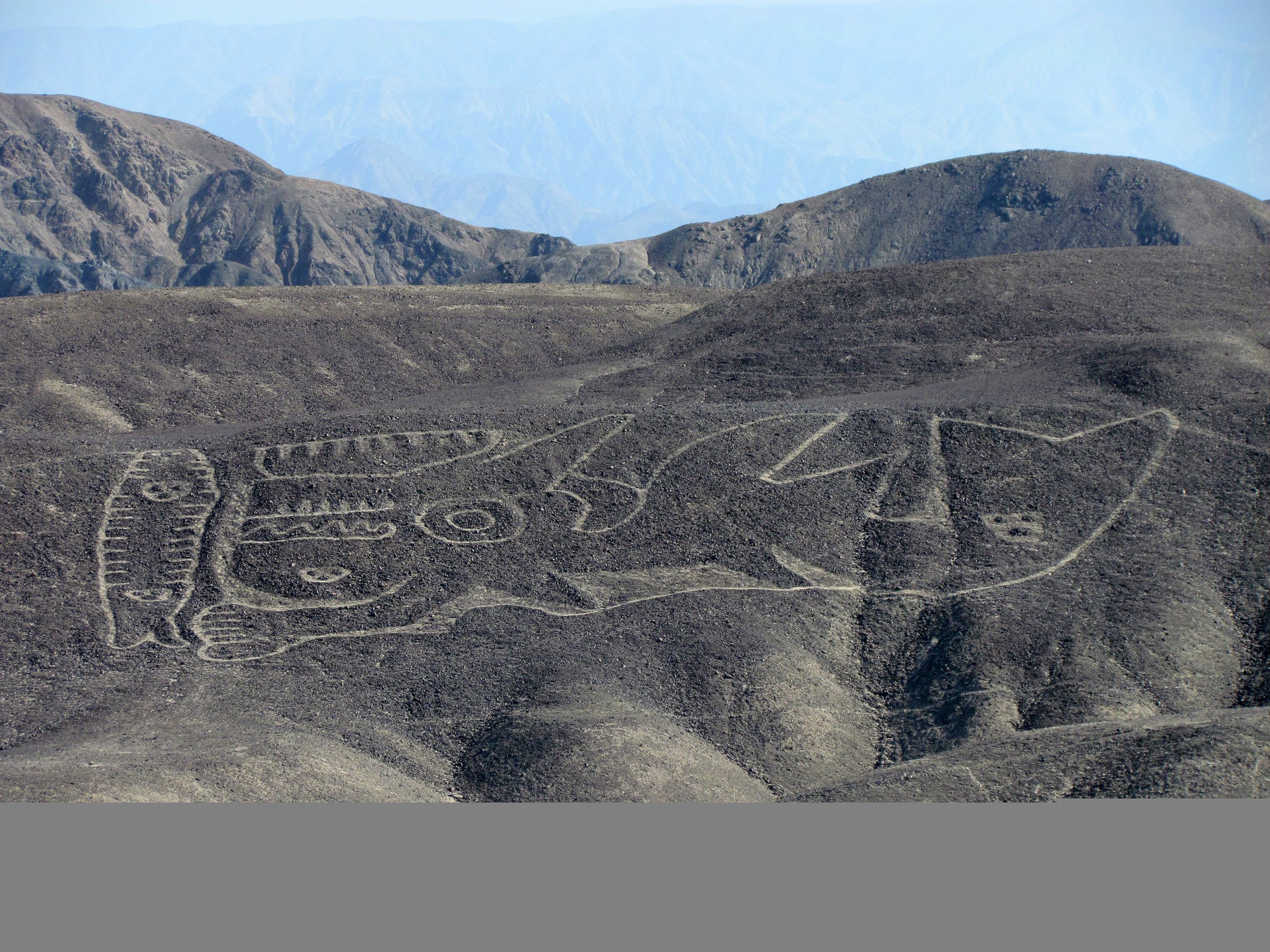 Nazca Lines: New Giant Geoglyph of Orca Discovered in Peru Desert