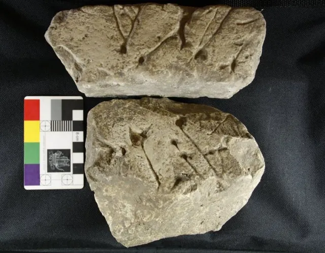 Neolithic House of the Dead: 6,000-Year-Old ‘Cat’s Brain’ Monument ...