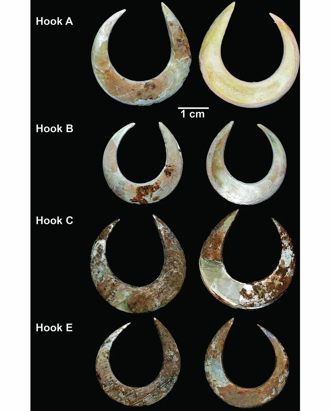 Ancient Fishing Hooks Found at Burial Site Could Rewrite Our Understanding of Pleistocene Gender Roles - Newsweek Ancient Fishing Hooks Found at Burial Site Could Rewrite Our Understanding of Pleistocene Gender Roles - Newsweek