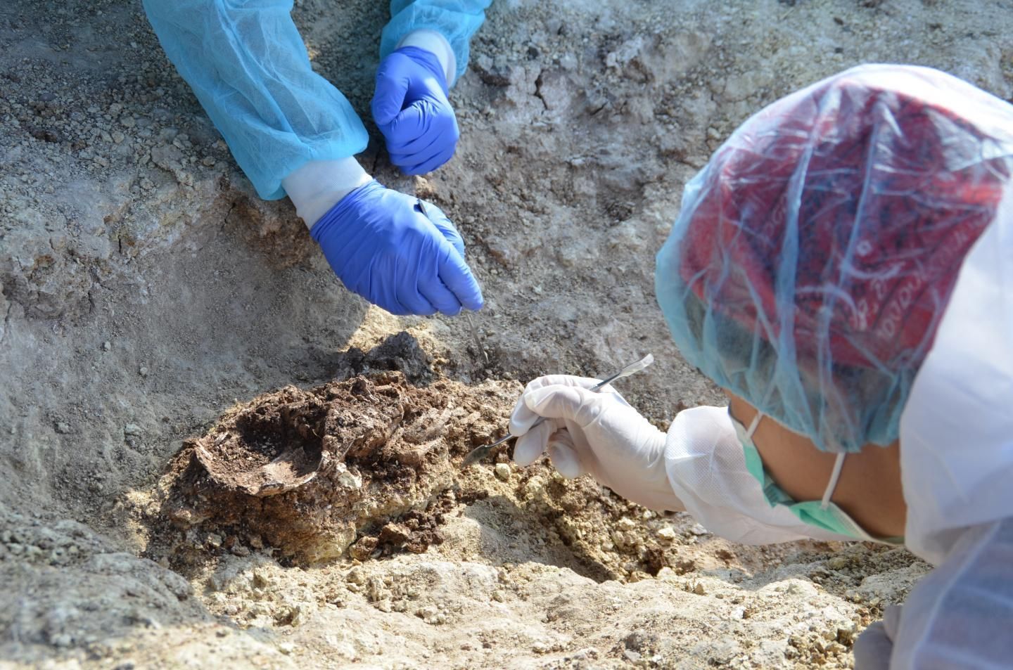Pyramids Dna DNA From Mysterious Ancient Civilization Shows They Were Explorers, Not ...