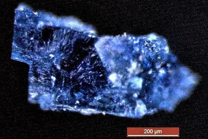Ancient Meteorites That Crashed to Earth Carried Ingredients for Life, Including Water and Organic Compounds