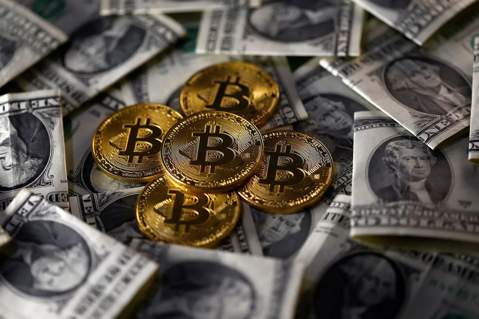 Bitcoin Price Surges above $8,000, but Is This the Cryptocurrency Comeback?  - Newsweek