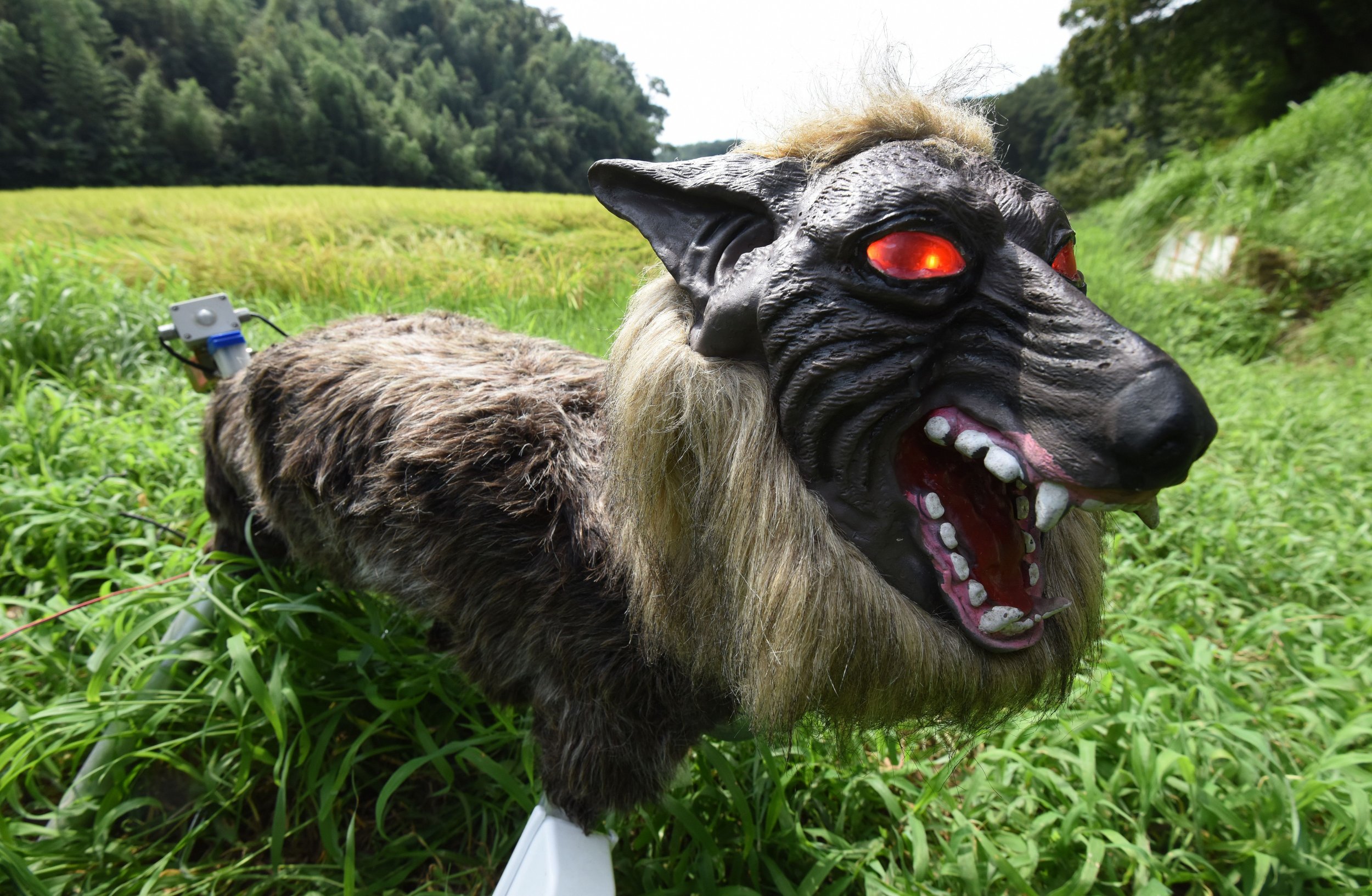 Terrifying 'Super Monster Wolf' Is a Robotic Pet That Will Save