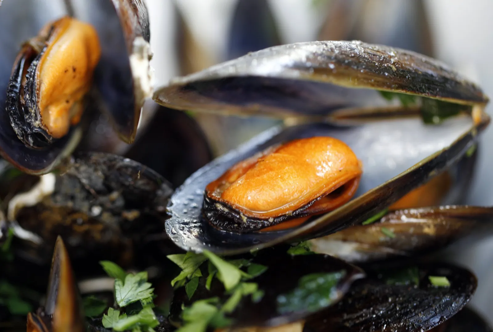 California Authorities Warn About Elevated Levels of Paralytic Poison ...