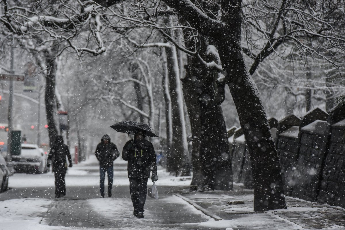 Schools Closed by Winter Storm Toby: Will Boston, New York ...