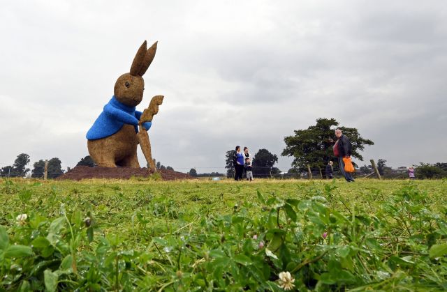 Peter Rabbit Scary Movie Theater Plays โHereditaryโ Horror Trailer Before โPeter Rabbit ...