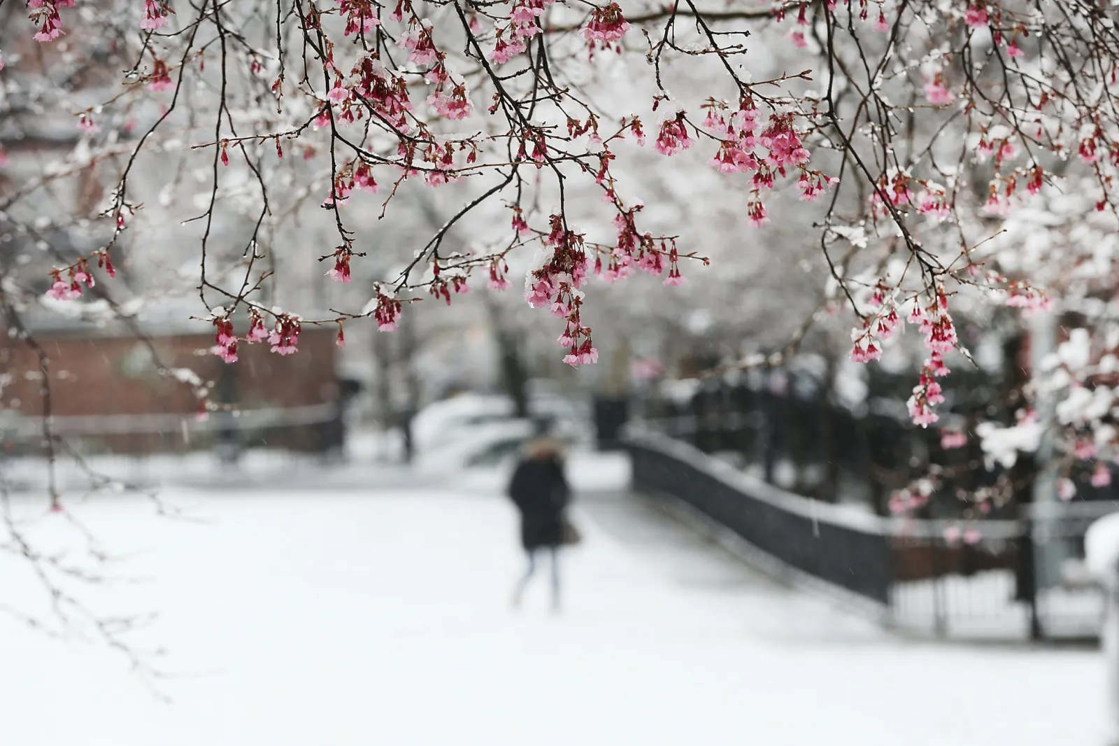 Cold In April April 2018 Was Coldest in 20 Years, What Does This Mean for Climate ...