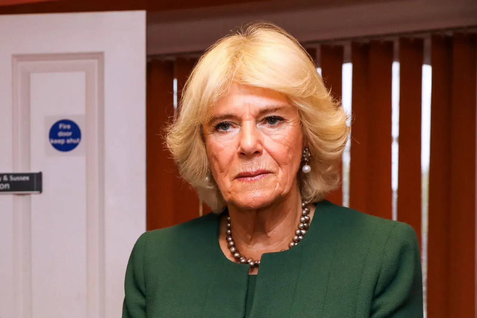 Queen Camilla Fought Off Groper With Her Shoe: Book - Newsweek