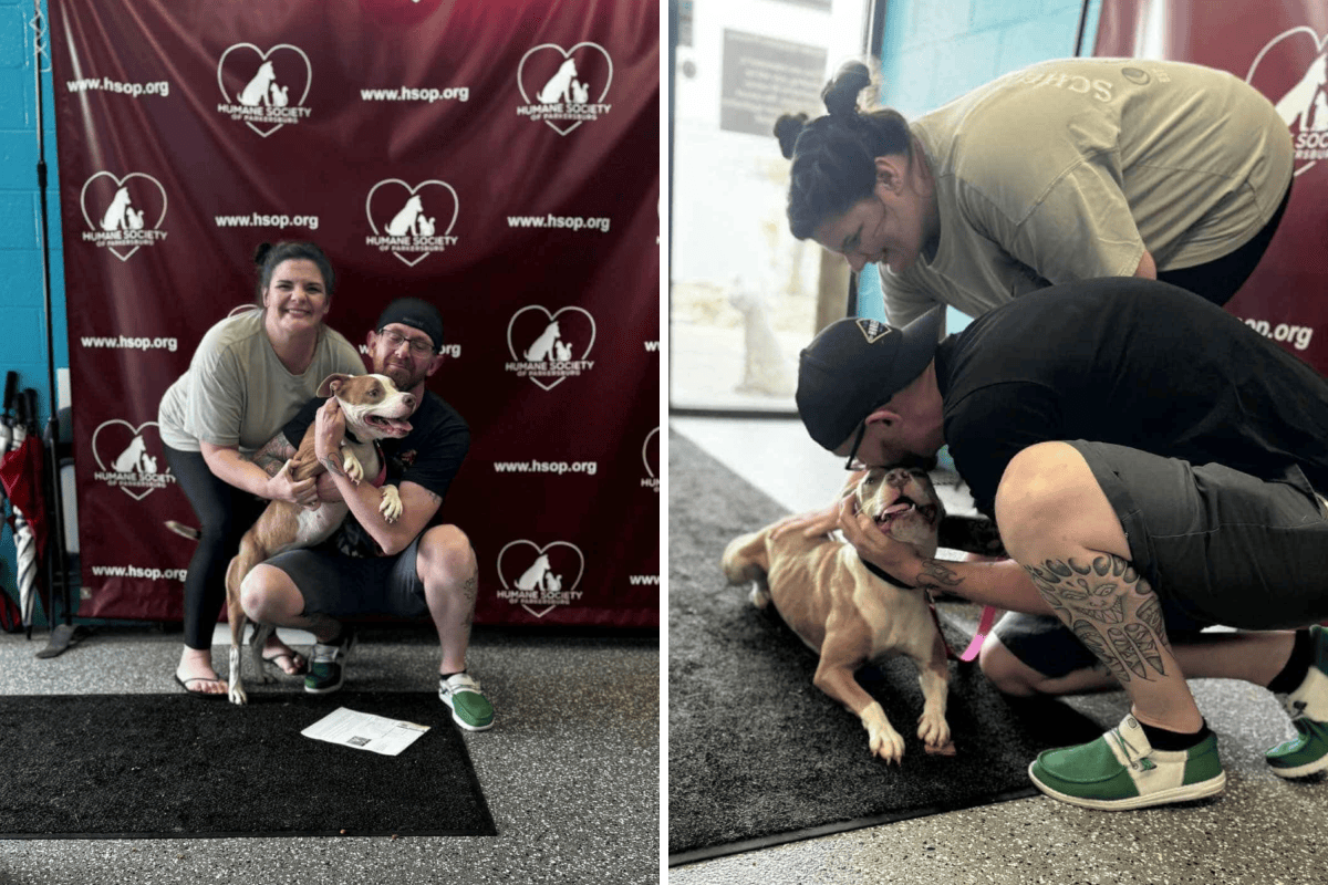 Hearts Melt at Moment Dog Lost for Months Is Reunited With Family ...
