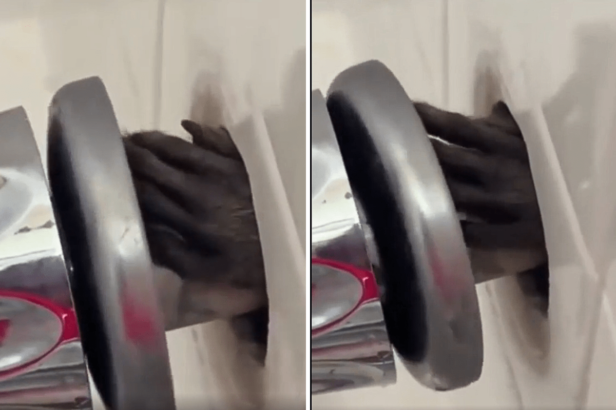 Horror at What Person Finds Coming out of Bathroom Tap: 'Call the Exorcist'