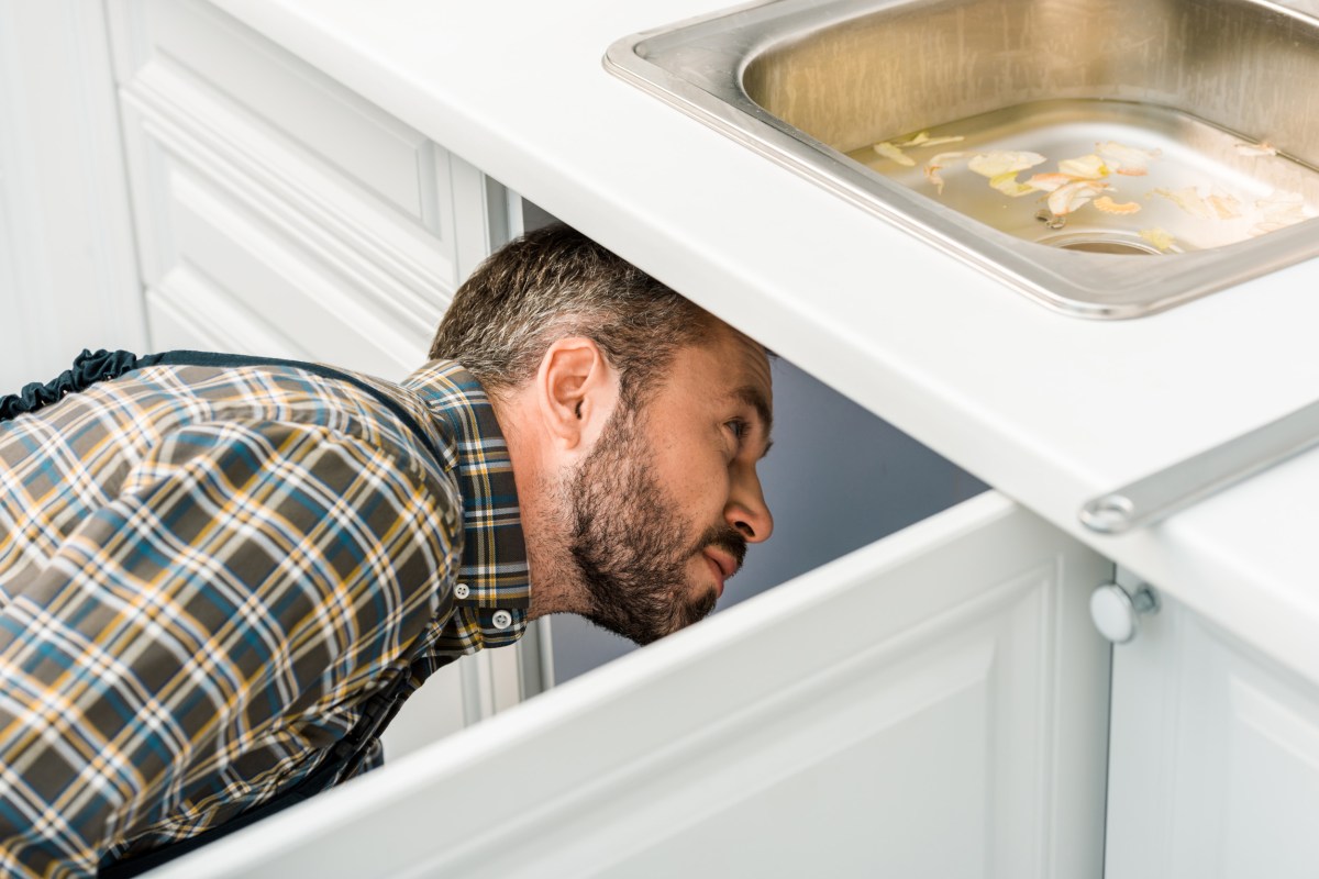 Shock as Man Finds 'Something out of Stranger Things' Growing in Apartment