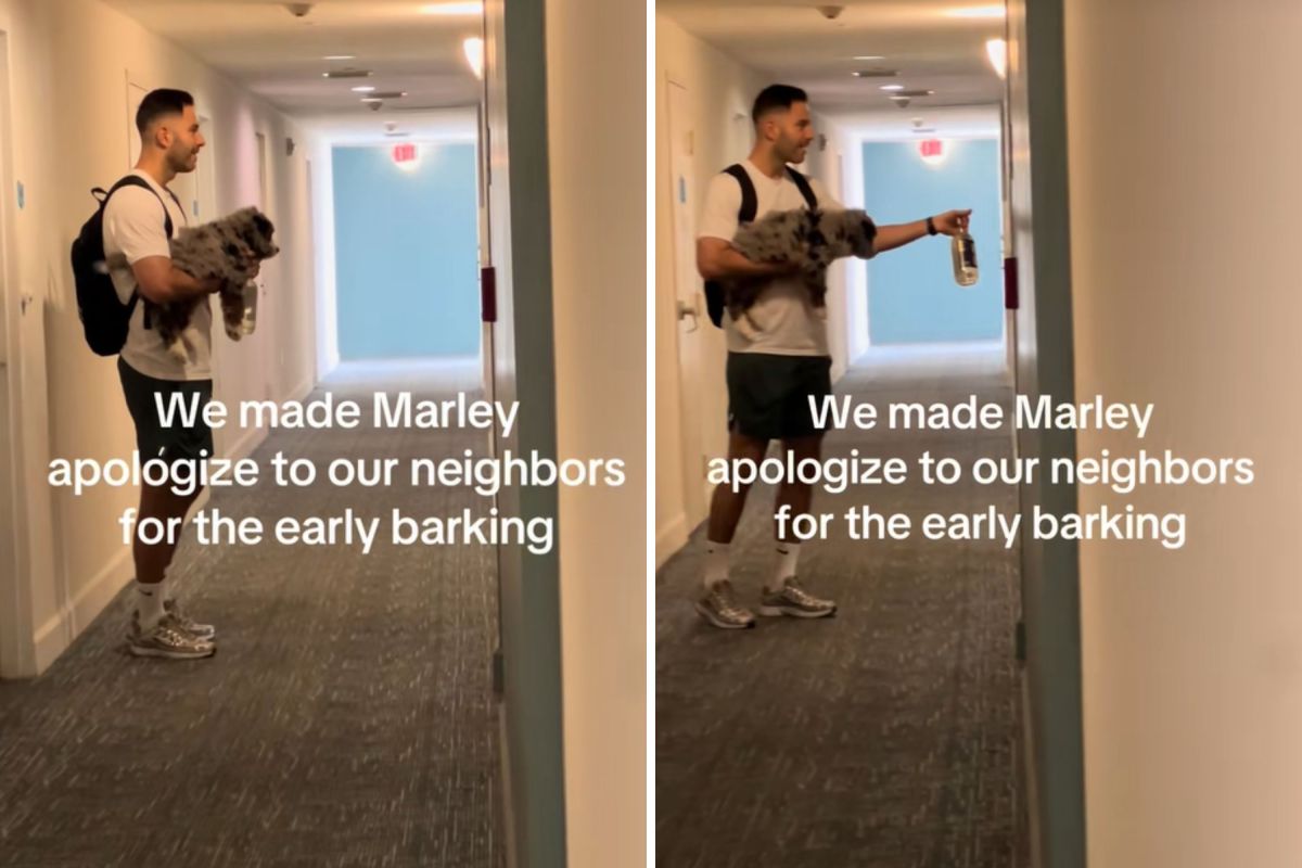 Hysterics as Man Makes Puppy 'Apologize' to Neighbors for Barking Early