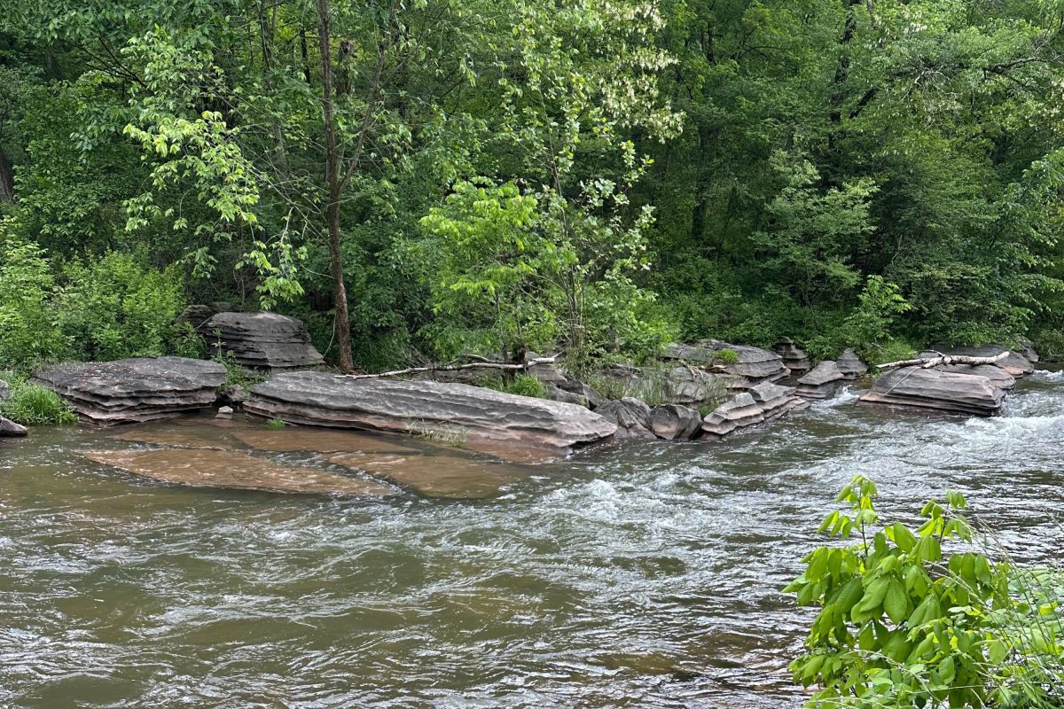 Couple Build Dream House Near River&mdash;Then Comes the Shock After Moving In