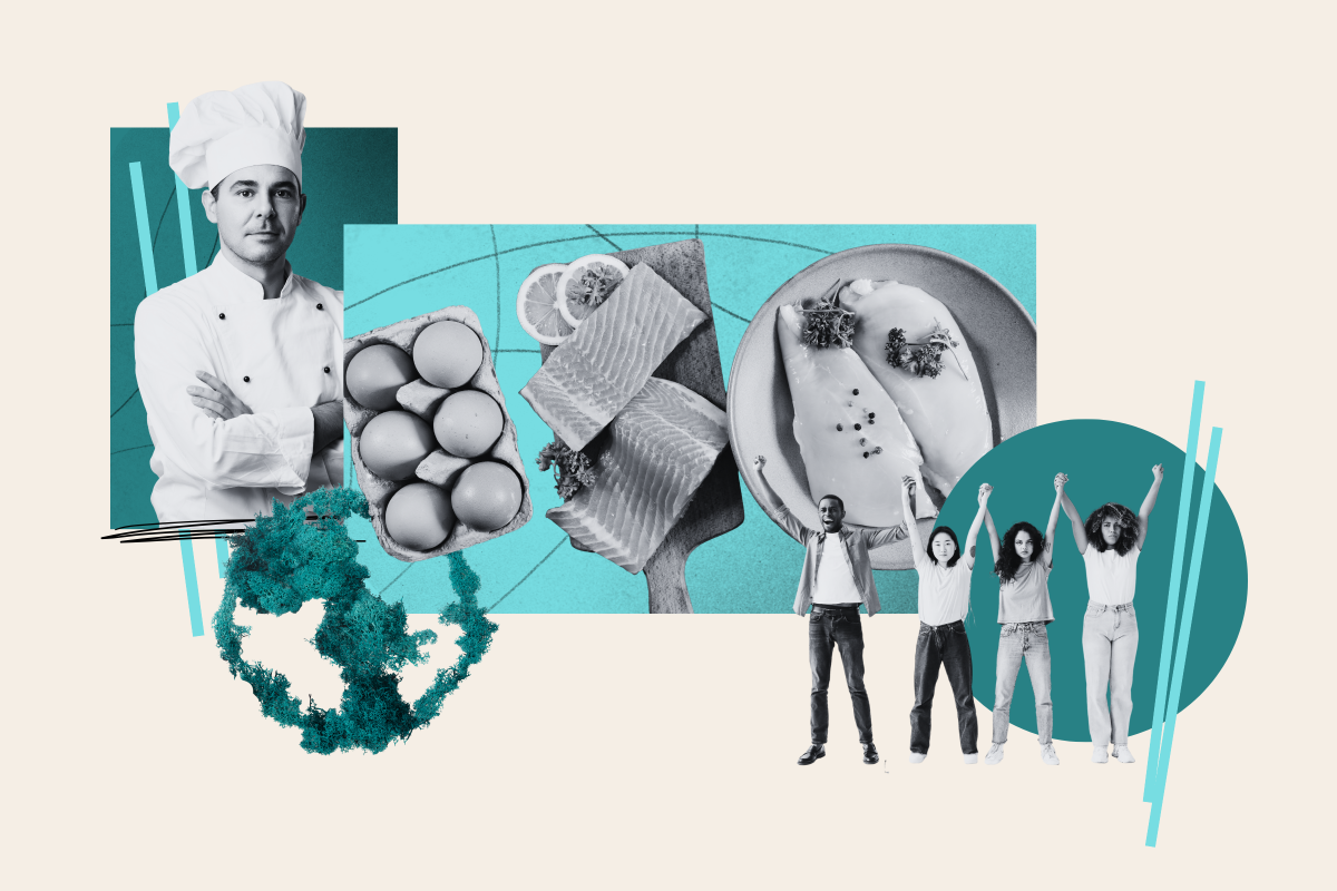 The Protein Craze Is Here. Why Are Climate Activists Sounding the Alarm?