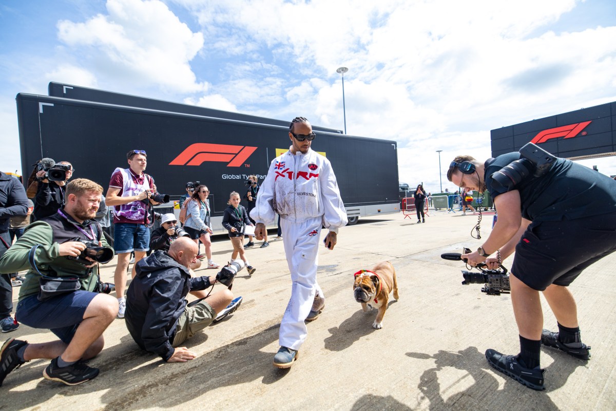 Lewis Hamilton Shares Heartbreaking Update About Roscoe From Hospital