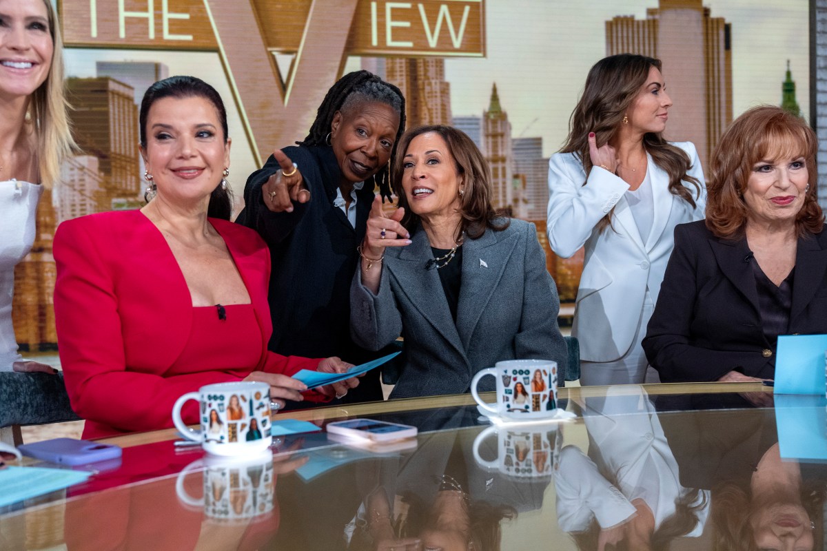 Kamala Harris Insists Major Flub on 'The View' Wasn't Her 2024 Downfall
