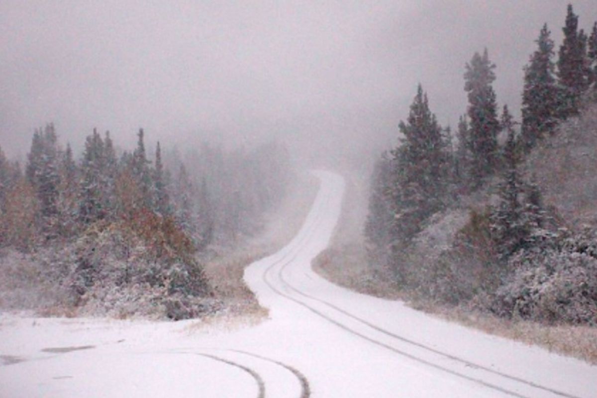 Winter Weather Warning Issued As 8 Inches of Snow To Hit - Newsweek