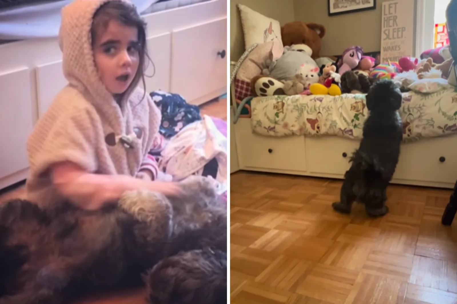 Heart Break As Dog Still Waits for 6-Year-Old Owner— Years After Her Death