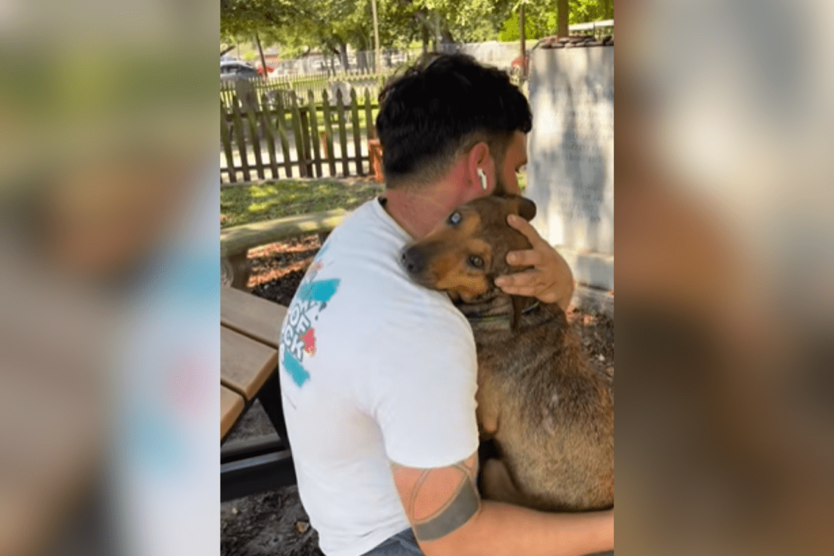 Dog Returned to Shelter Days After Adoption, Leaving Owners Heartbroken: &#039;We Start Again&#039;