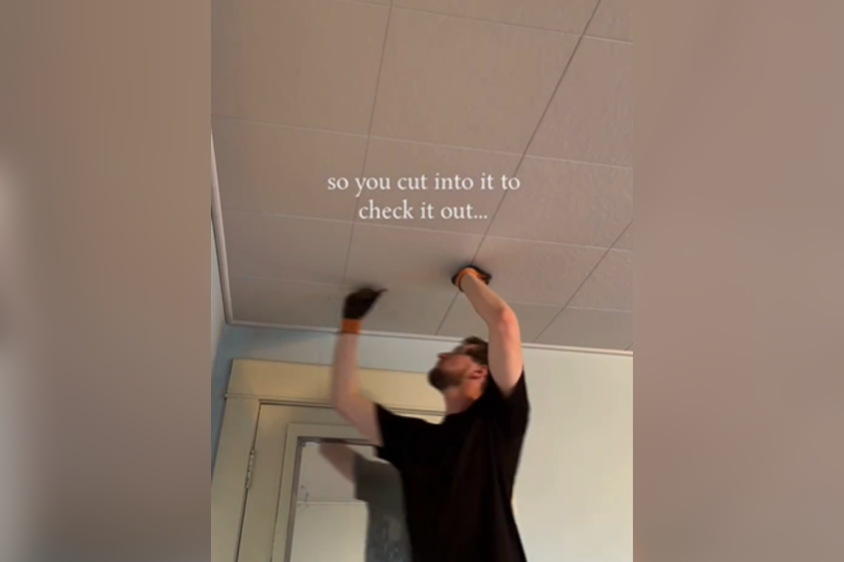 Couple Suspect Something Hiding Above Ceiling&mdash;Can&rsquo;t Believe What They Find