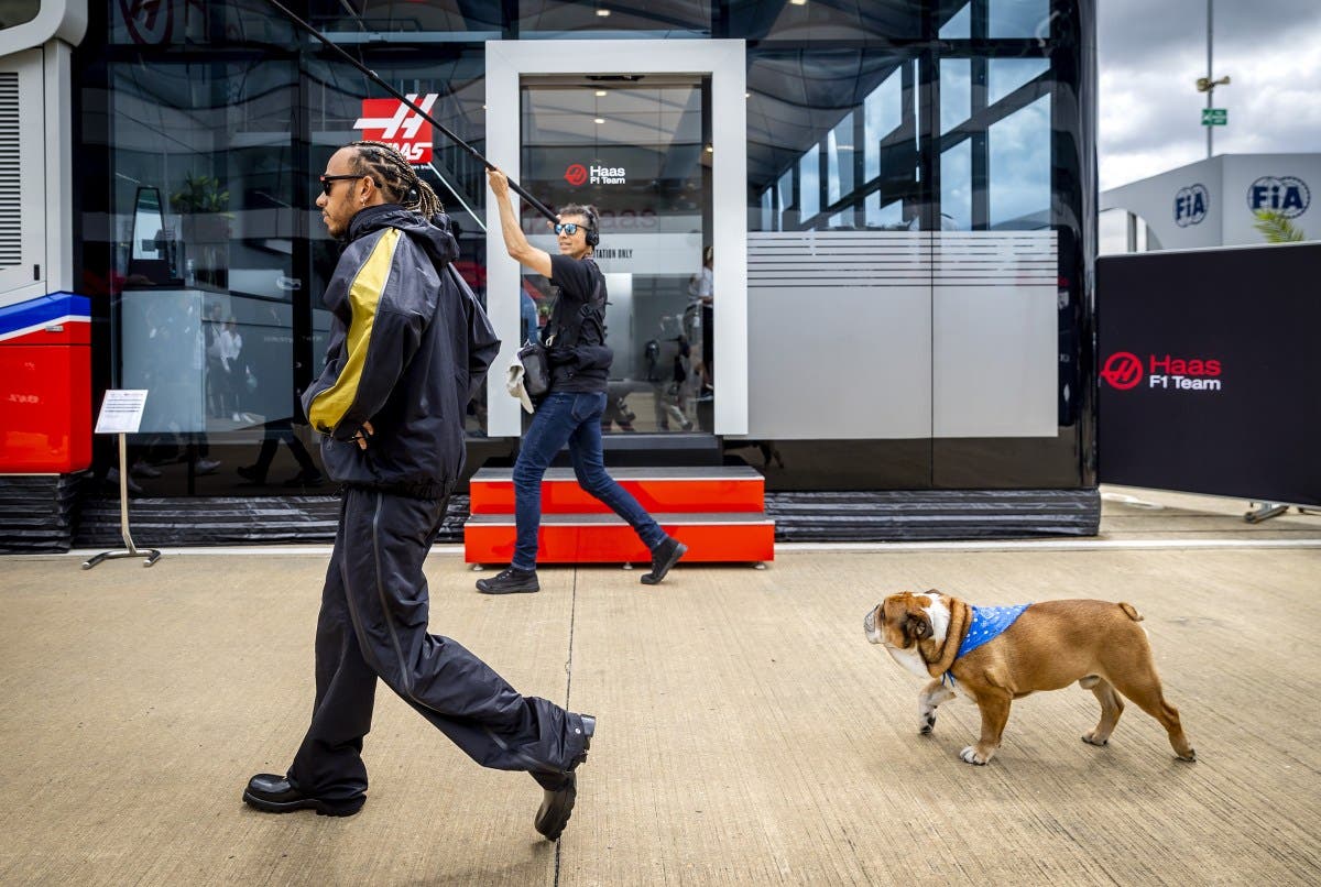 Lewis Hamilton&#039;s Dog Roscoe Is Vegan: The Reasons Behind the Choice