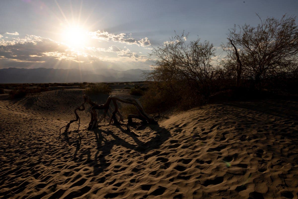Driest Place in North America Sees 4 Times Its Average Rainfall