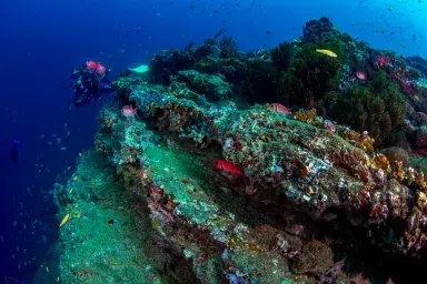The High Seas Treaty Just Passed. Now It’s Full Steam Ahead | Opinion
