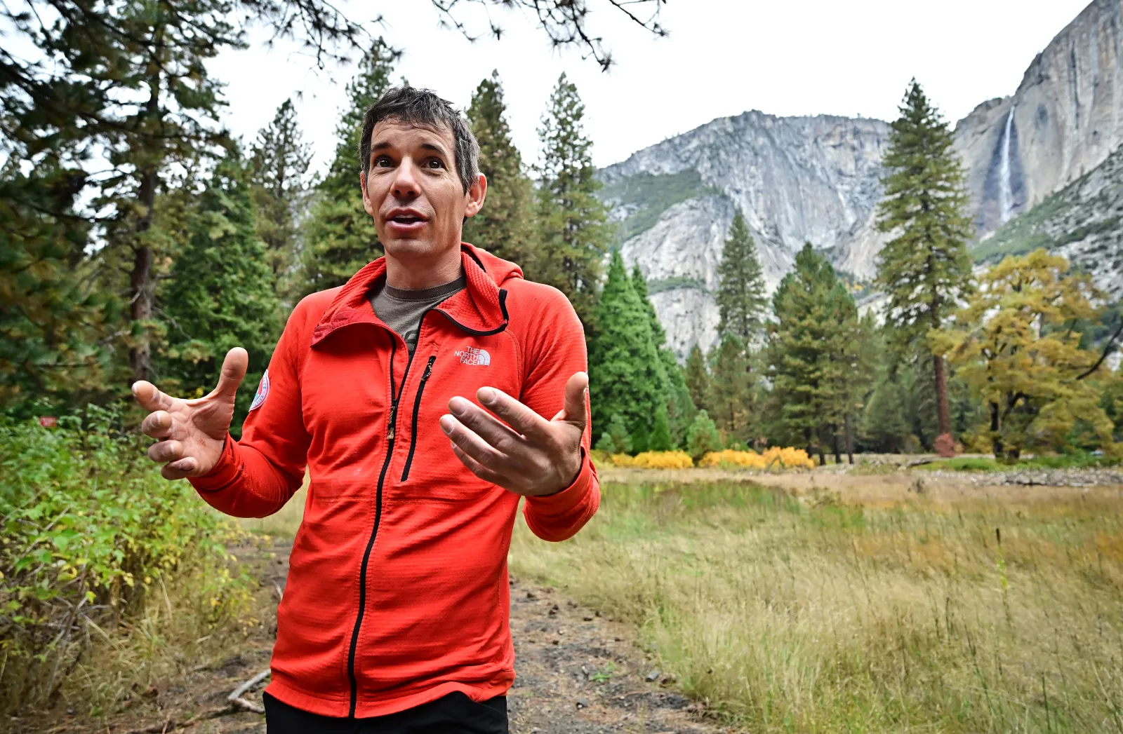 Image for article: Alex Honnold’s Brain: What fMRI Study Revealed About Climber’s Lack of Fear