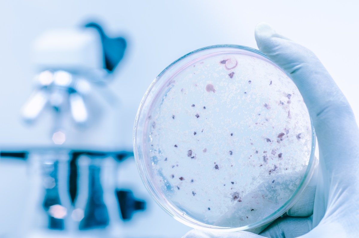 Pneumonia: 3D Tech Helps Crack 30-Year Legionnaires’ Disease Mystery