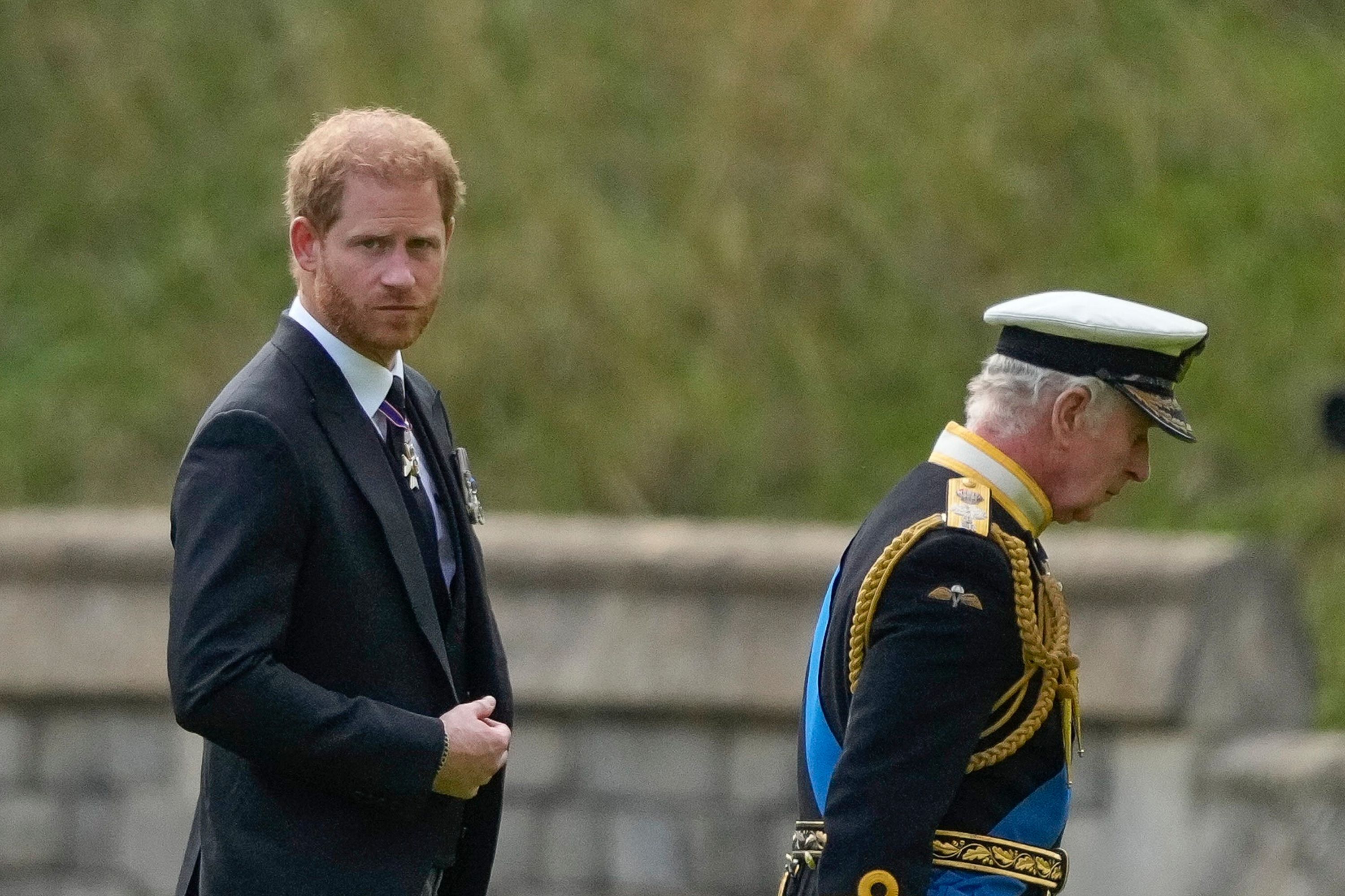 Prince Harry's Sabotage Claims Cast Shadow Over King Charles Reconciliation  - Newsweek