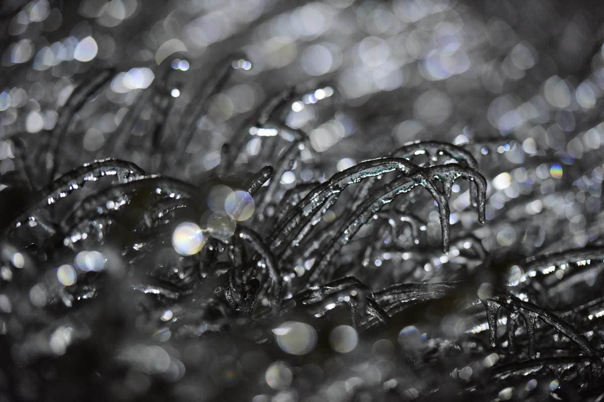 Freeze Warnings For Over a Million in 11 States as Temperatures Plummet