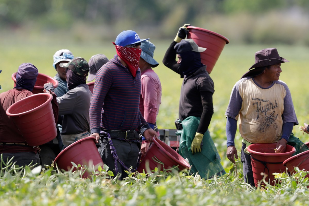 US Economy Report Sounds Alarm for Donald Trump