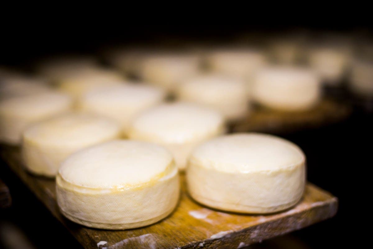Cheese Recall Sparks Highest Consumer Risk Warning
